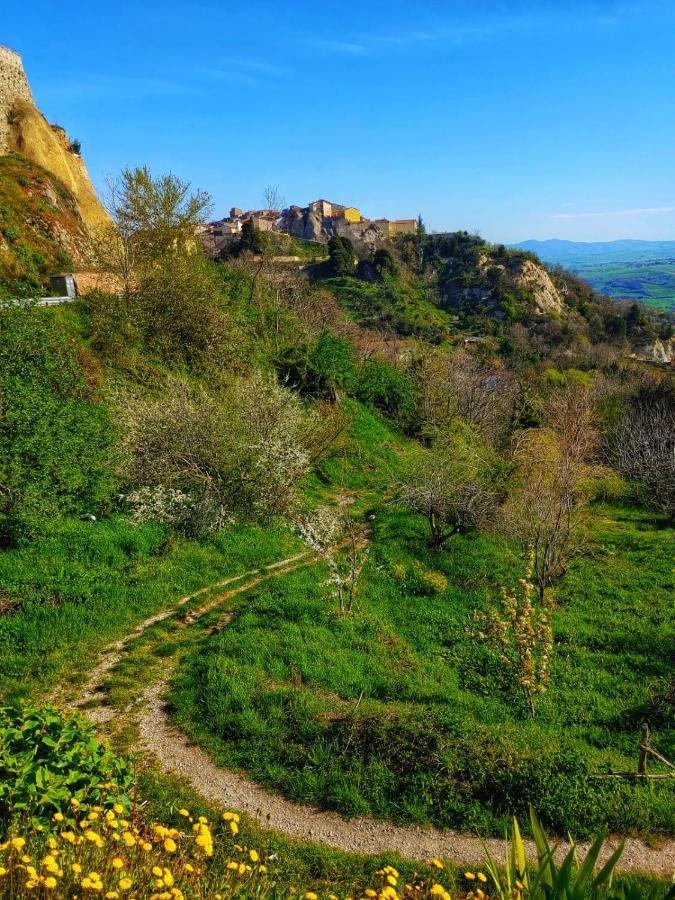 לינה וארוחת בוקר Baselice Borgo Sciugolo מראה חיצוני תמונה